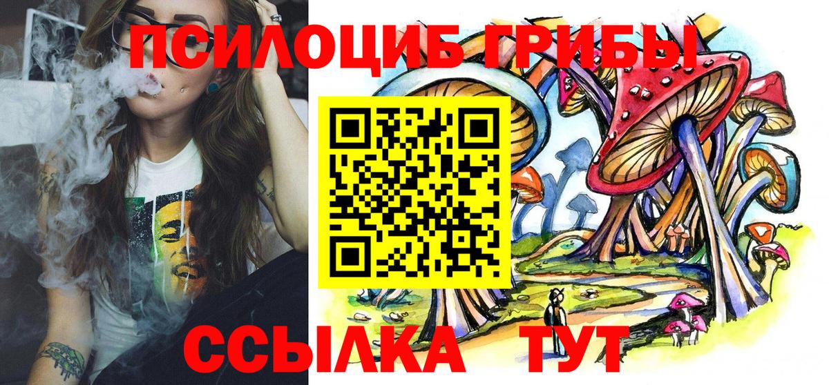 Галлюциногенные грибы прущие грибы Усть-Джегута